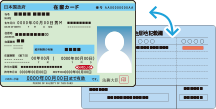 在留カードの表面・裏面の例